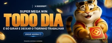 Suporte Qualidade Newyearpg